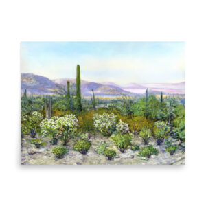 Quiet Desert Morning